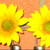 Ako som vyrobila magnetky z kytice slnečníc (fotopostup)