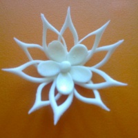 Kvet z calyx vykrajovačky (fotopostup)