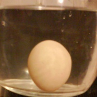 Ako otestovať čerstvosť vajec