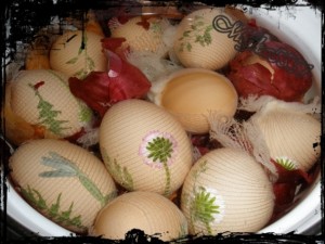 Vajcia v obväze (fotopostup) - obrázok 3