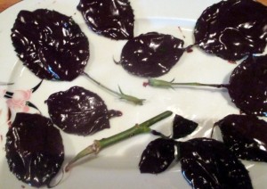 Ako si vyrobiť čokoládové lístočky z ruží - obrázok 6