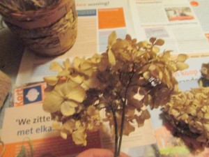 Ako môžeme využiť kvet hortenzie (fotopostup) - obrázok 2