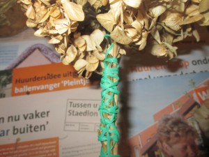 Ako môžeme využiť kvet hortenzie (fotopostup) - obrázok 4