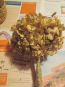 Ako môžeme využiť kvet hortenzie (fotopostup) - obrázok 5