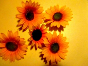 Ako som vyrobila magnetky z kytice slnečníc (fotopostup) - obrázok 2