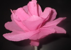 Kvety z krepového papiera (fotopostup) - obrázok 19