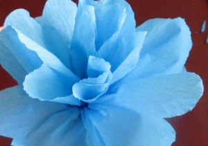 Kvety z krepového papiera (fotopostup) - obrázok 24