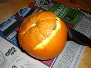 Pomarančové ruže (fotopostup) - obrázok 2