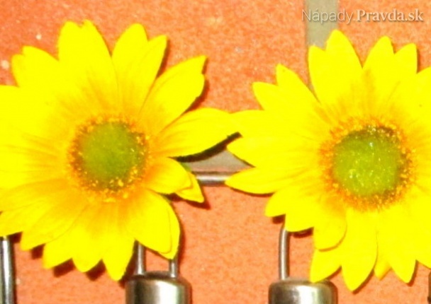 Ako som vyrobila magnetky z kytice slnečníc (fotopostup)