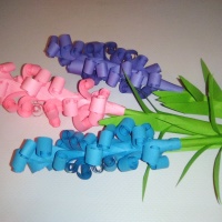 Hyacint pre maminku (fotopostup)