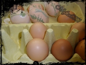 Vajcia v obväze (fotopostup) - obrázok 2
