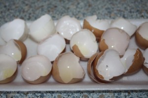 Vajcové škrupinky (fotopostup) - obrázok 1