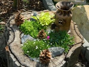Mini záhrada v starom orechovom pni - obrázok 2