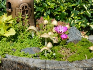 Mini záhrada v starom orechovom pni - obrázok 5