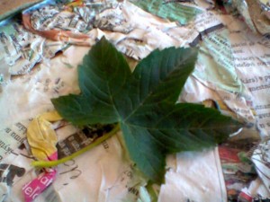 Eko obrázok (fotopostup) - obrázok 4