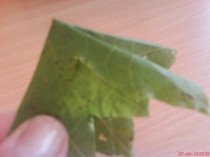 Kytička zo suchých listov (fotopostup) - obrázok 3