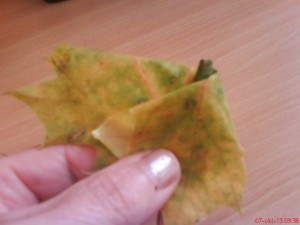 Kytička zo suchých listov (fotopostup) - obrázok 5