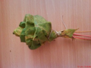 Kytička zo suchých listov (fotopostup) - obrázok 8