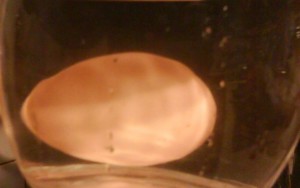 Ako otestovať čerstvosť vajec - obrázok 1