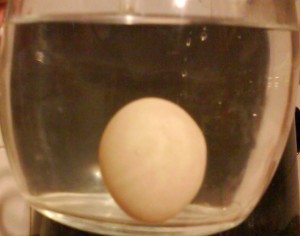 Ako otestovať čerstvosť vajec - obrázok 3