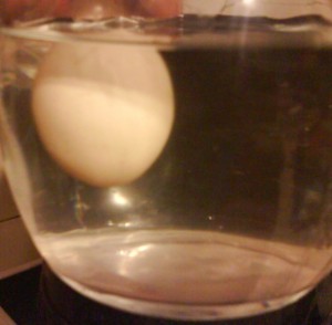 Ako otestovať čerstvosť vajec - obrázok 4