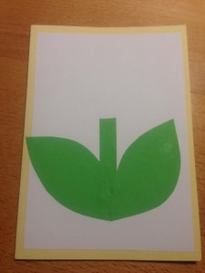 3D tulipánová pohľadnica (fotopostup) - obrázok 1