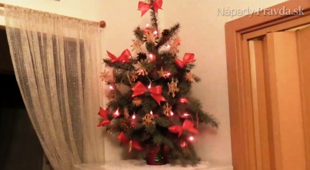 Živý vianočný stromček, ktorý nemusíte píliť (videonávod)